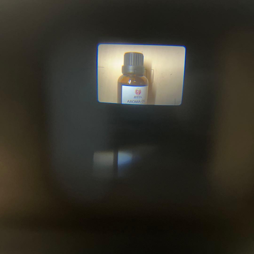 Canonical Autoboy S Panorama 完動極美品