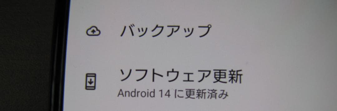 ス*読様 Xperia 10 IV SIMフリー 128GB　XQ-CC44　ブ