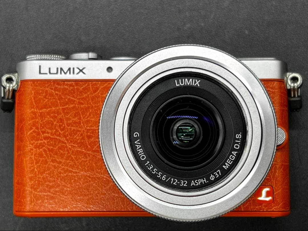 シャッター数2100 LUMIX DMC-GM1 オレンジ