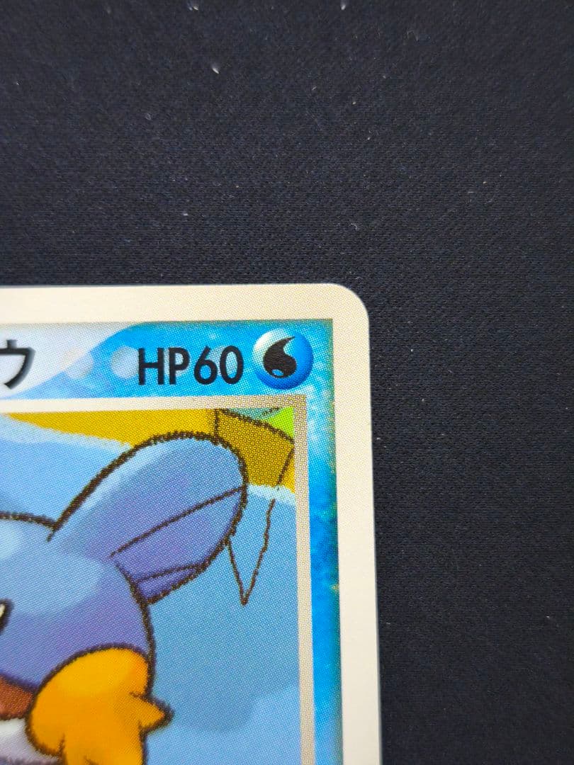 ポケパークのミズゴロウ ポケパークプレミアムファイル 003/009