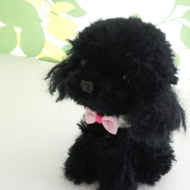 売れました　ふあふあ❤トイプードル(全身)