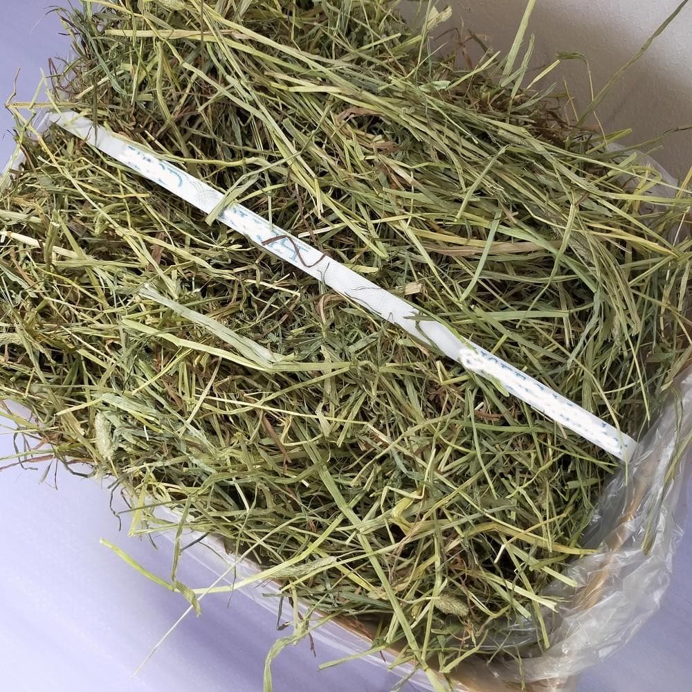 【1/14まで】 US産 チモシー 30kg ２番刈り ソフトSプレミアム