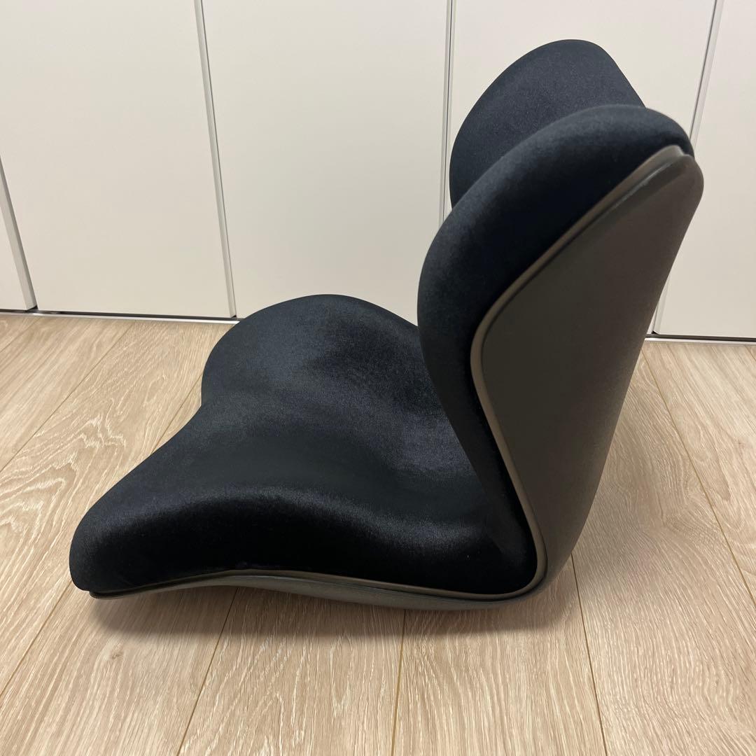 矯正用品・補助ベルト Style PREMIUM DX