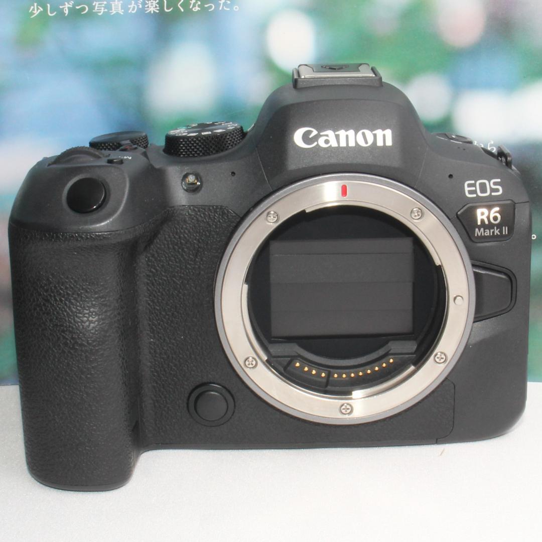 ❤️予備バッテリー付き❤️キヤノン EOS R6 マークII ダブルズーム❤️
