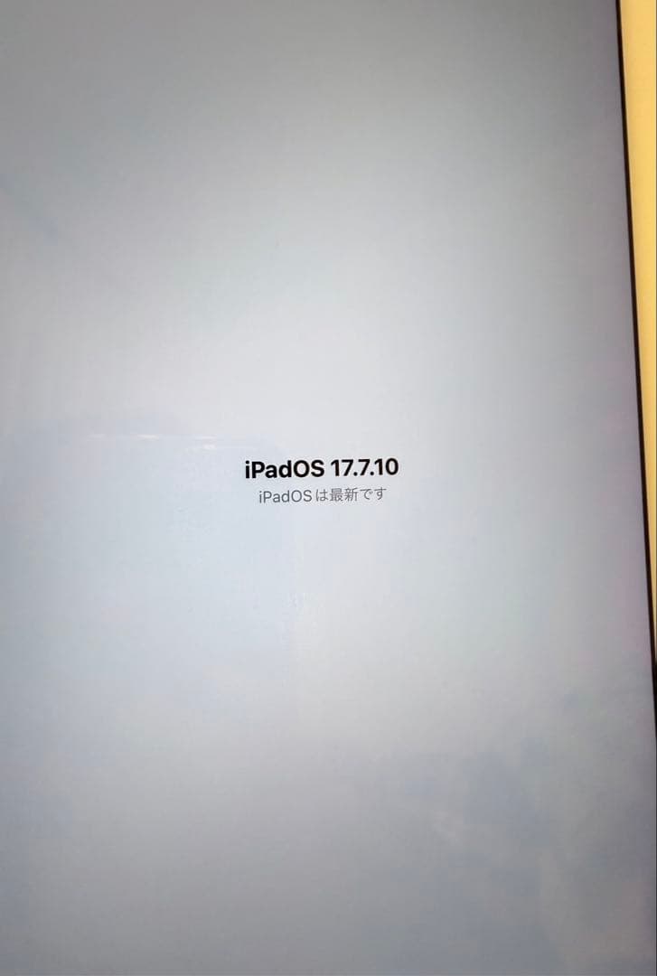 iPad Pro (12.9インチ) (第2世代) 512GB