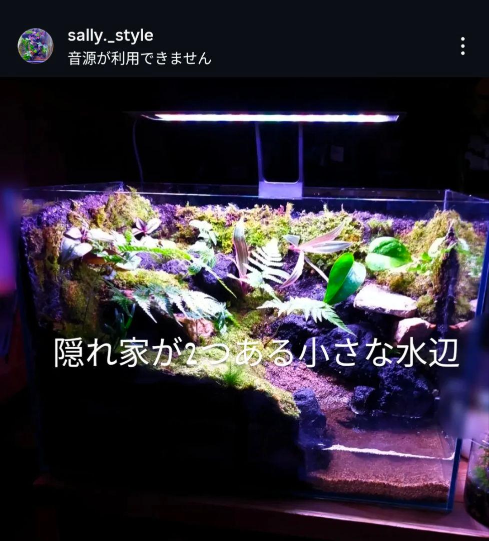 Manaページ