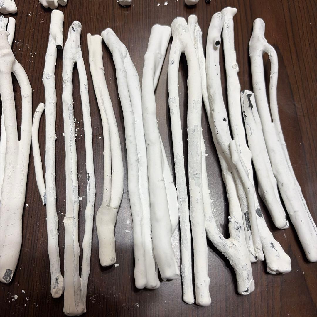 白枝炭約40本