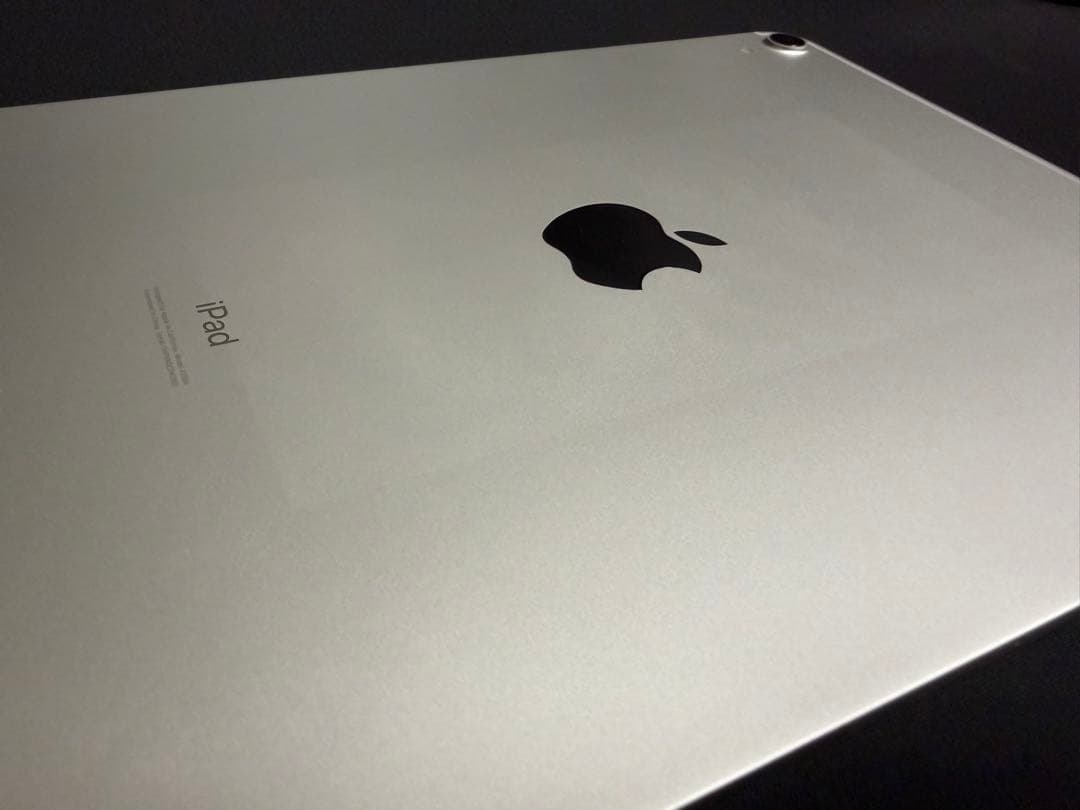 iPad Pro 11インチ 第1世代 256GB ※外装、バッテリー難あり