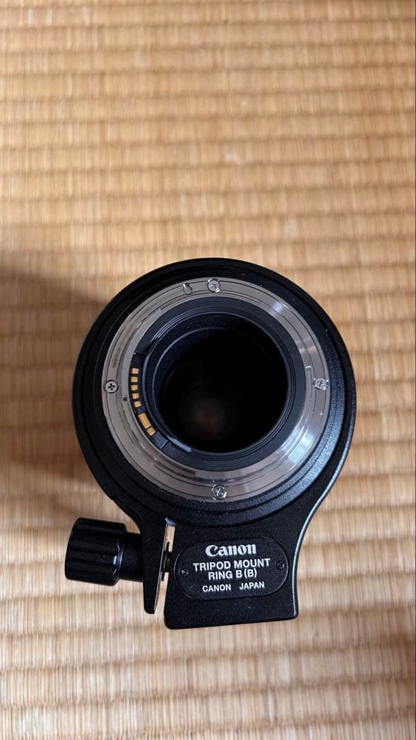 キャノン　Canon MP-E 65mm F2.8 1-5Xマクロフォト