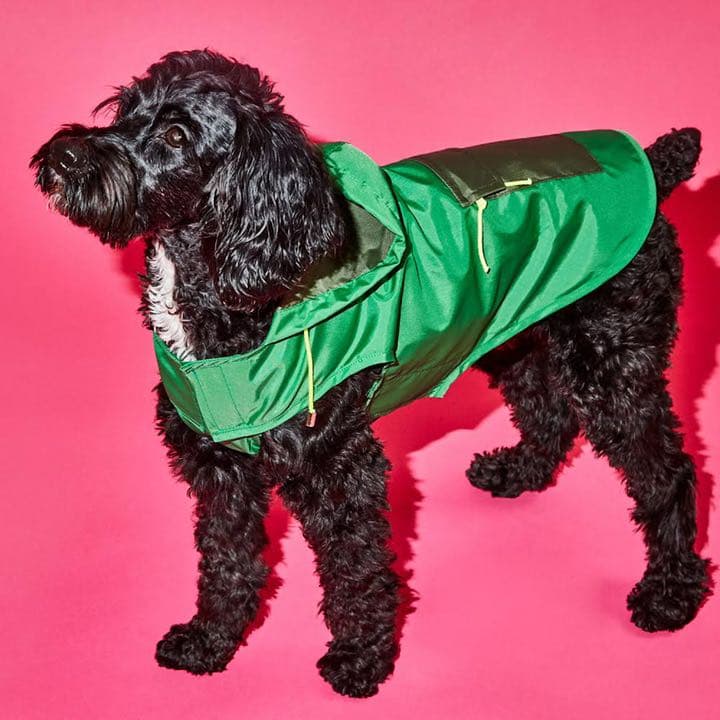 【新品】【輸入品】犬用レインコート(グリーン/オリーブ)サイズ2