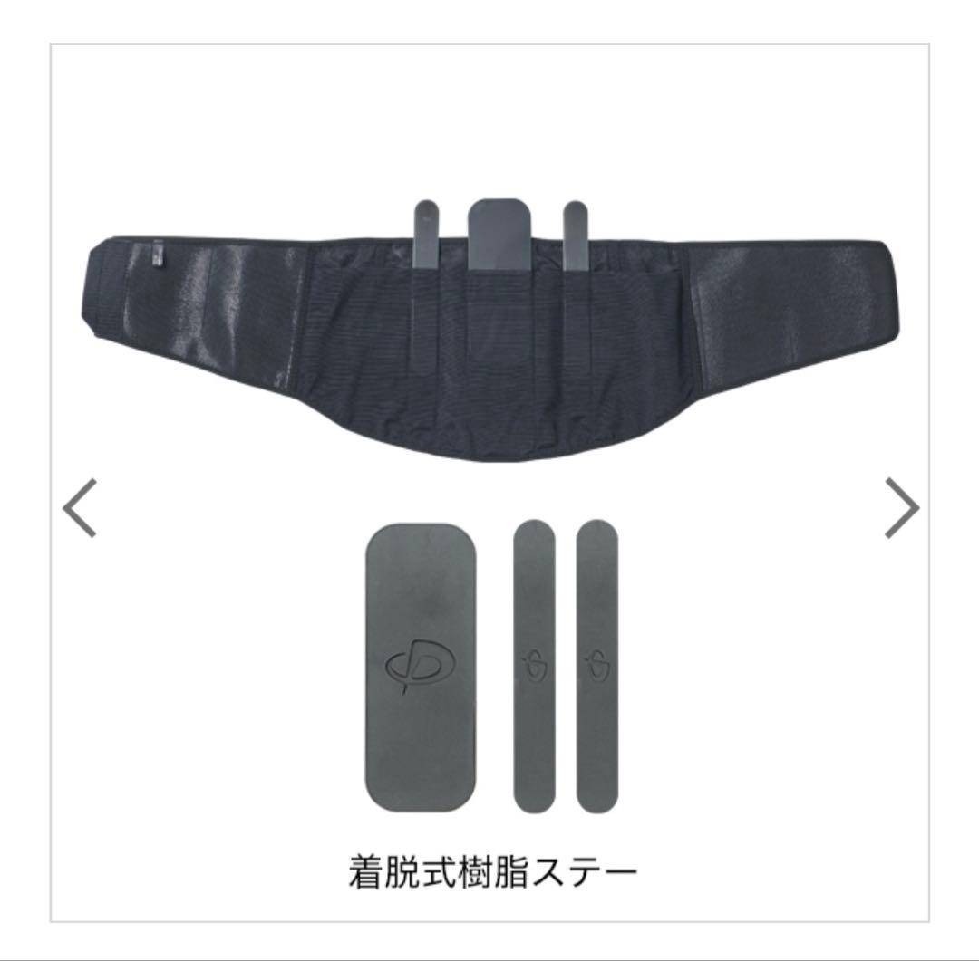 ファイテン　phiten フィットタイプ 腰用 Lサイズ