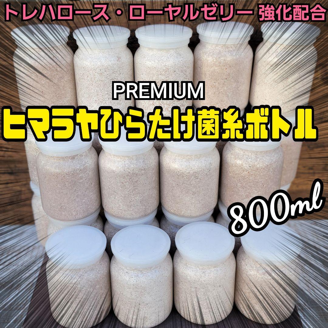 極上！ヒマラヤひらたけ菌糸瓶【１０本セット】トレハロース、キトサン強化配合！