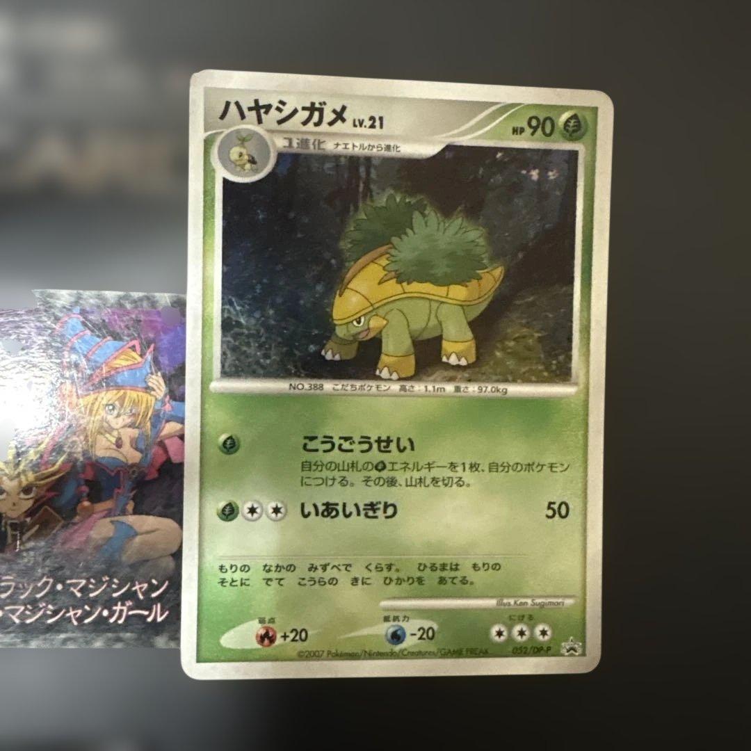 ポケモンカード 3枚セット モウカザル ハヤシガメ ポッタイシ　プロモ