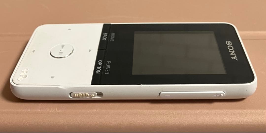 【ディスプレイ　バッテリ良好】　SONY ウォークマン　NW-S315 16GB
