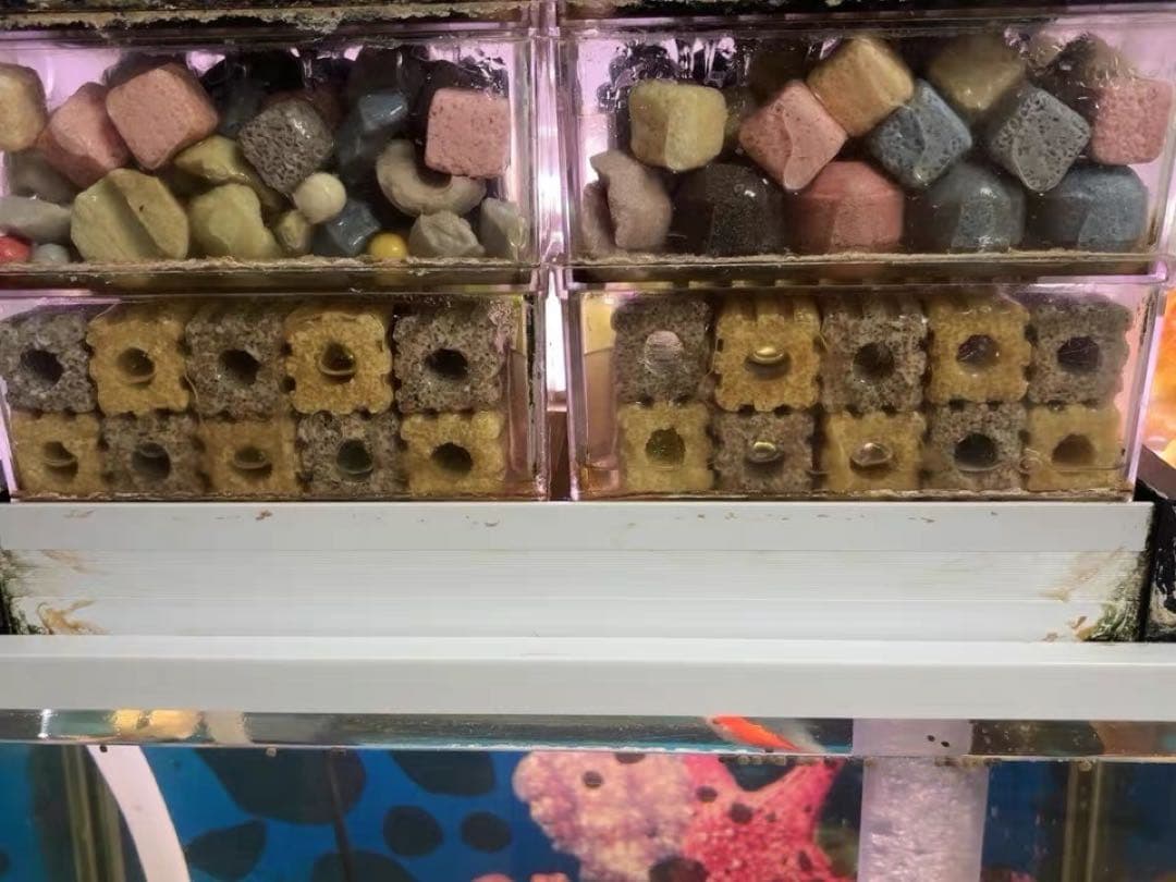 多孔質セラミック製水槽池用濾過材100本　海水魚　水草　メダカ　金魚錦鯉水質浄化