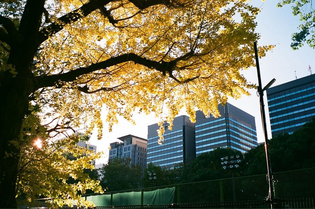 【動作品】 RICOH FF-1s フィルムカメラ コンパクト
