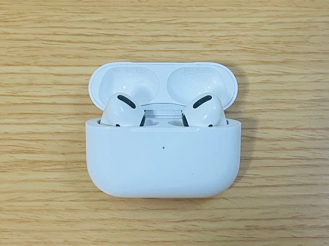 Apple AirPods Pro 本体