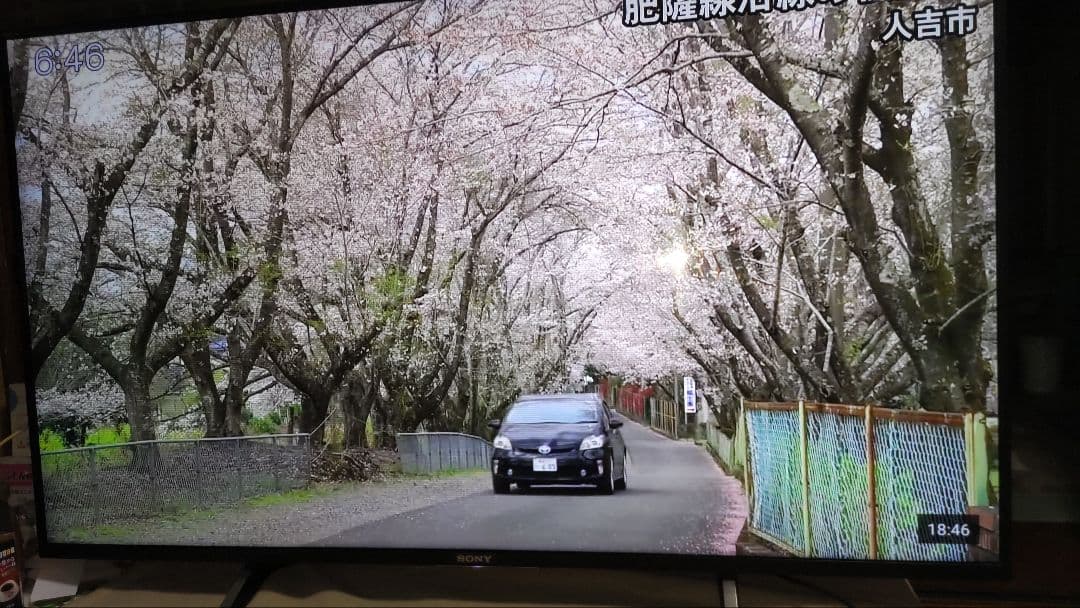 Sony 液晶テレビ 大画面 高解像度