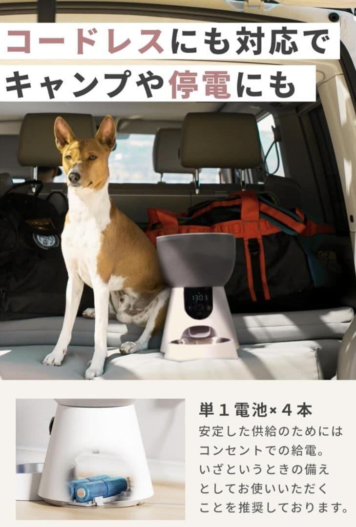 INNEUTRAL 自動給餌器 自動餌やり器 新品未使用品 インニュートラル
