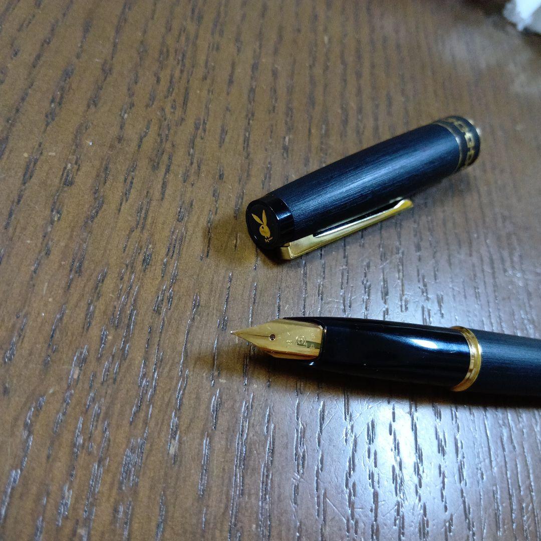 PLATINUM 万年筆