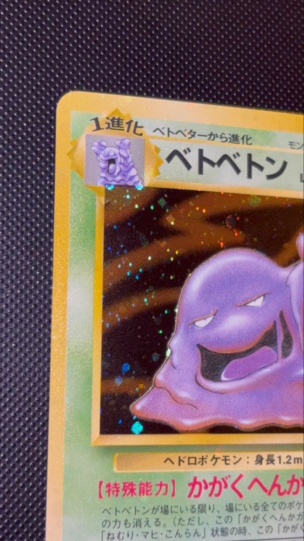 旧裏　極上美品　ベトベトン　全面ホロ　化石の秘密