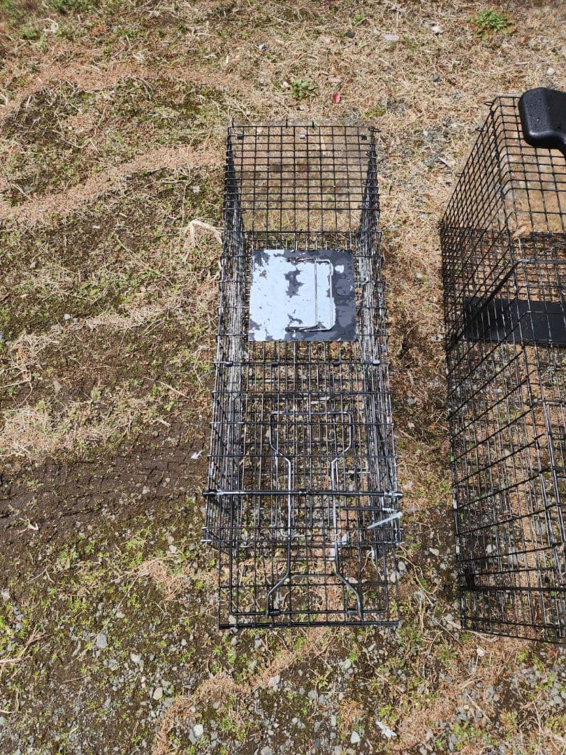 町田！相模原！新品猫用捕獲器 ダブルドア 　3個セット　地域猫　保護猫