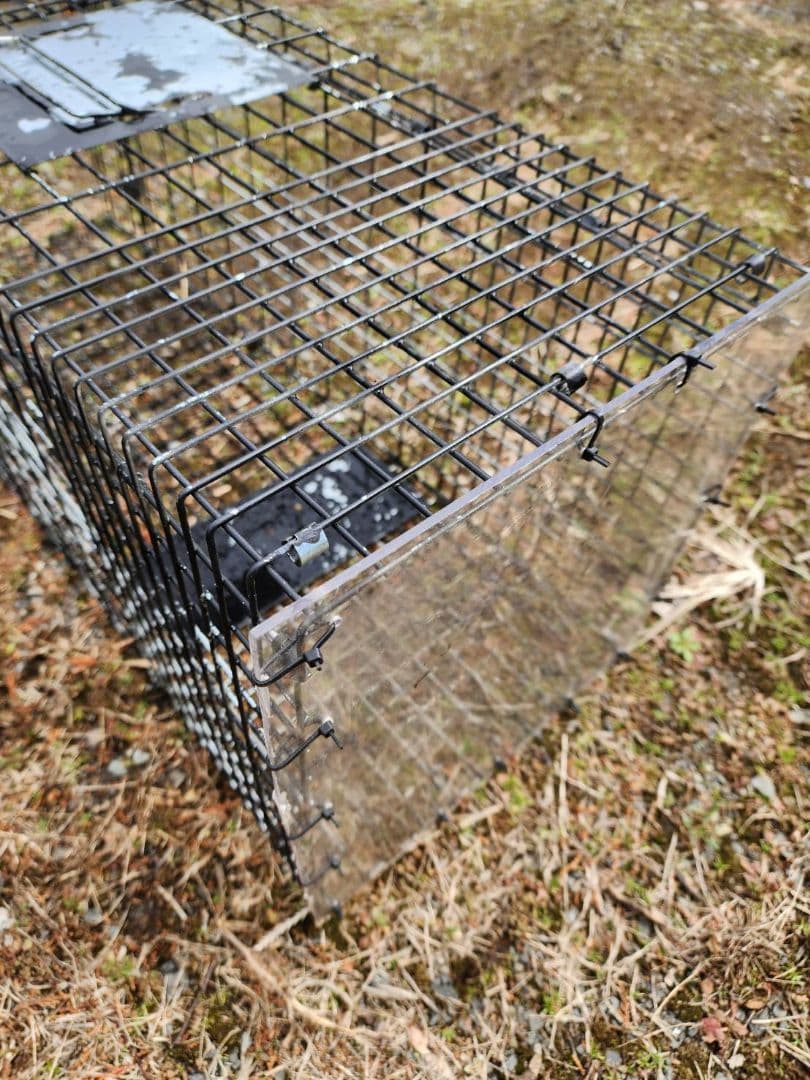 町田！相模原！新品猫用捕獲器 ダブルドア 　3個セット　地域猫　保護猫