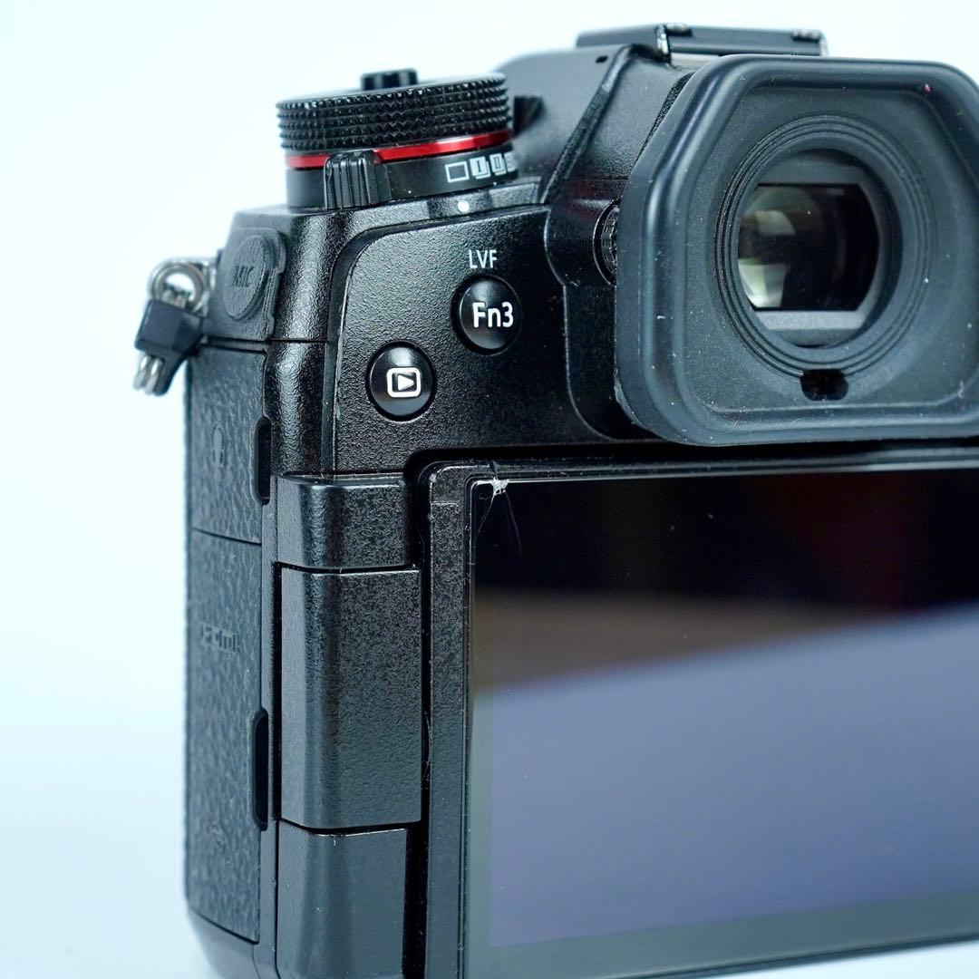 デジタルカメラ LUMIX G9 Pro