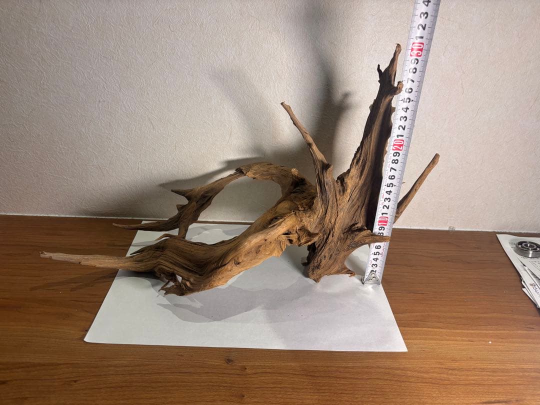 天然流木 約45cm x 30cm x 20cm