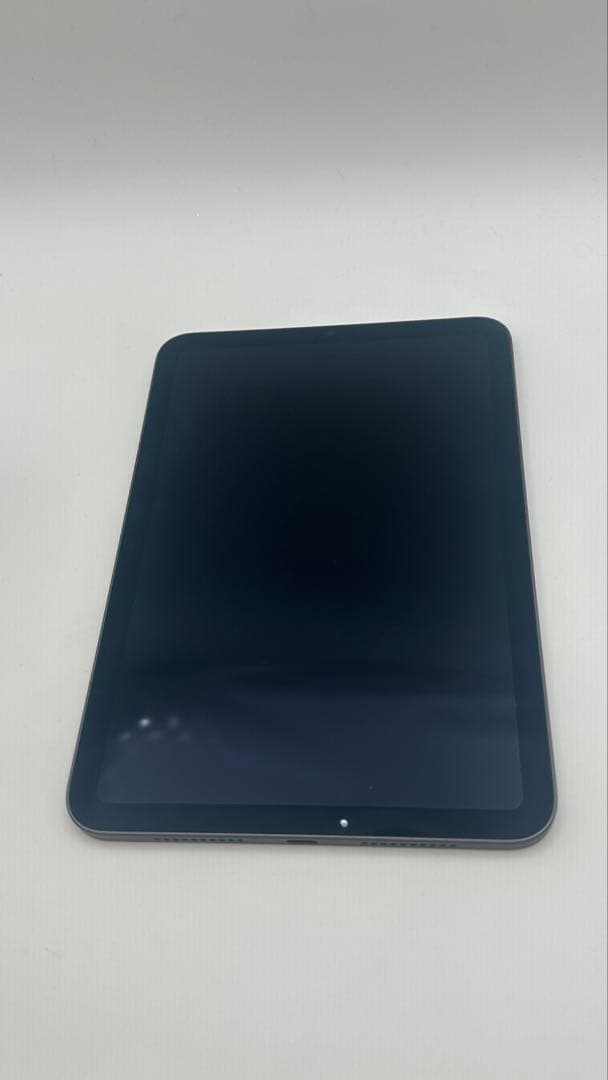 Apple iPad mini (青色) 本体