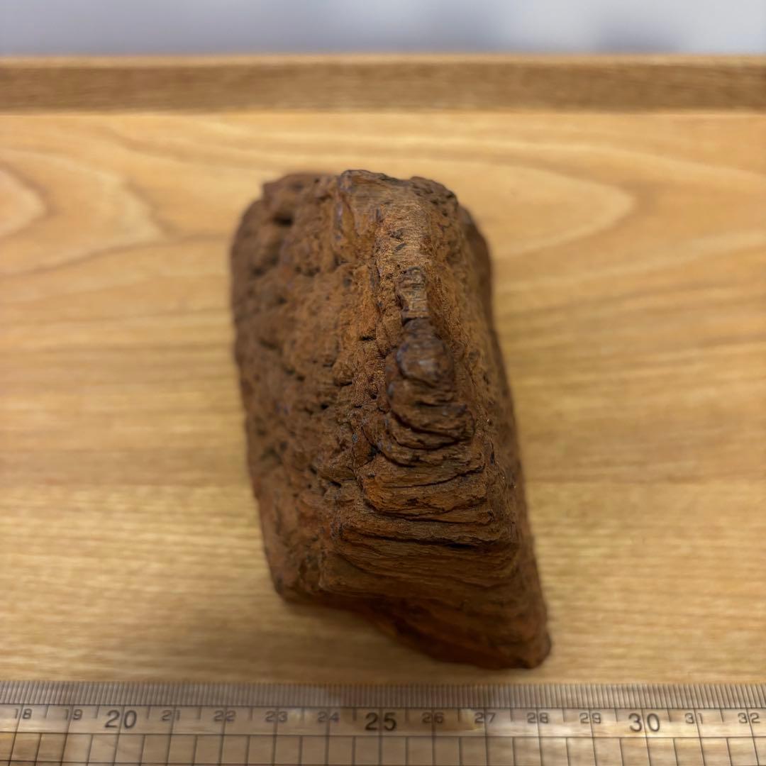 古代天然香木　沈香原木326.8g 茶道具タニシャム沈香伽羅聞香 香道具ベトナム