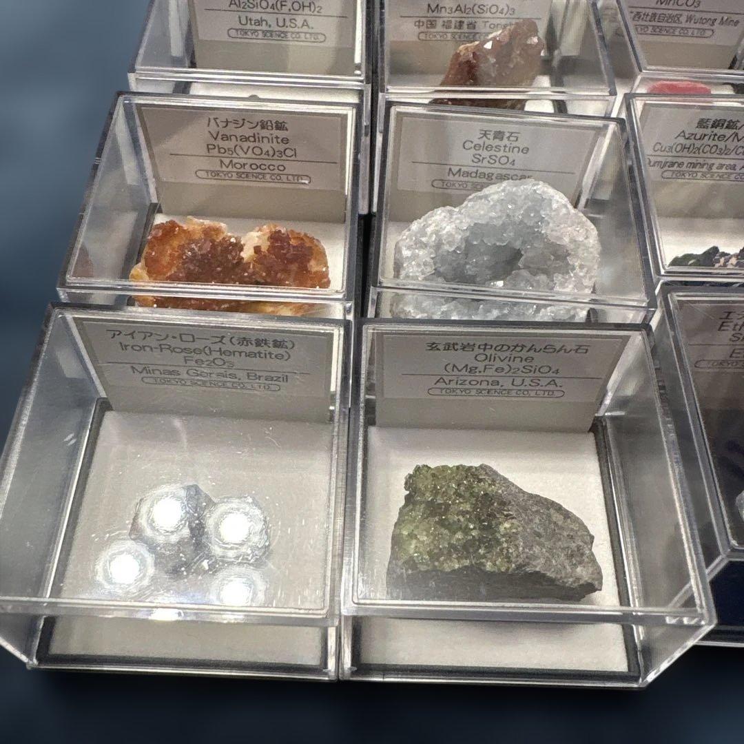 標本　鉱石　化石
