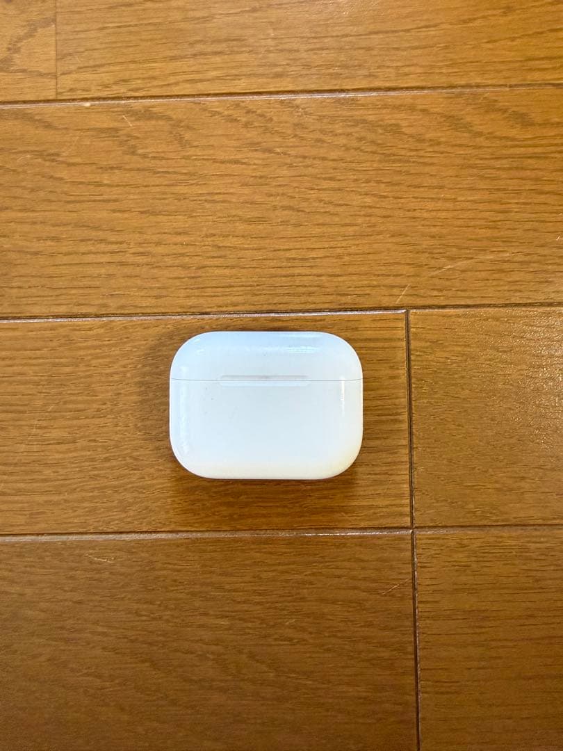 【Sakura】 Air pods pro3