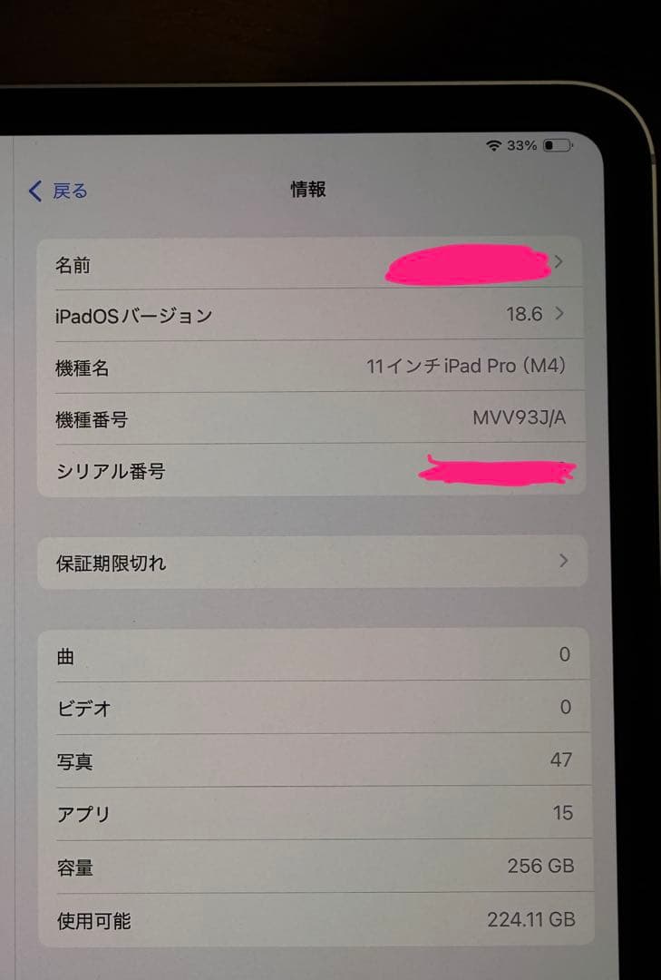 すふぃん　iPad Pro 11インチ M4 シルバー 256GB