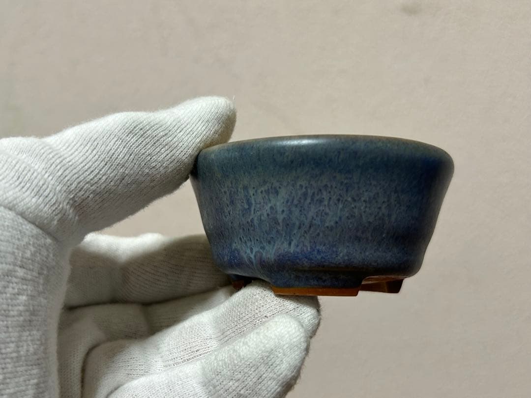春山　盆栽小鉢　小品盆栽　山野草