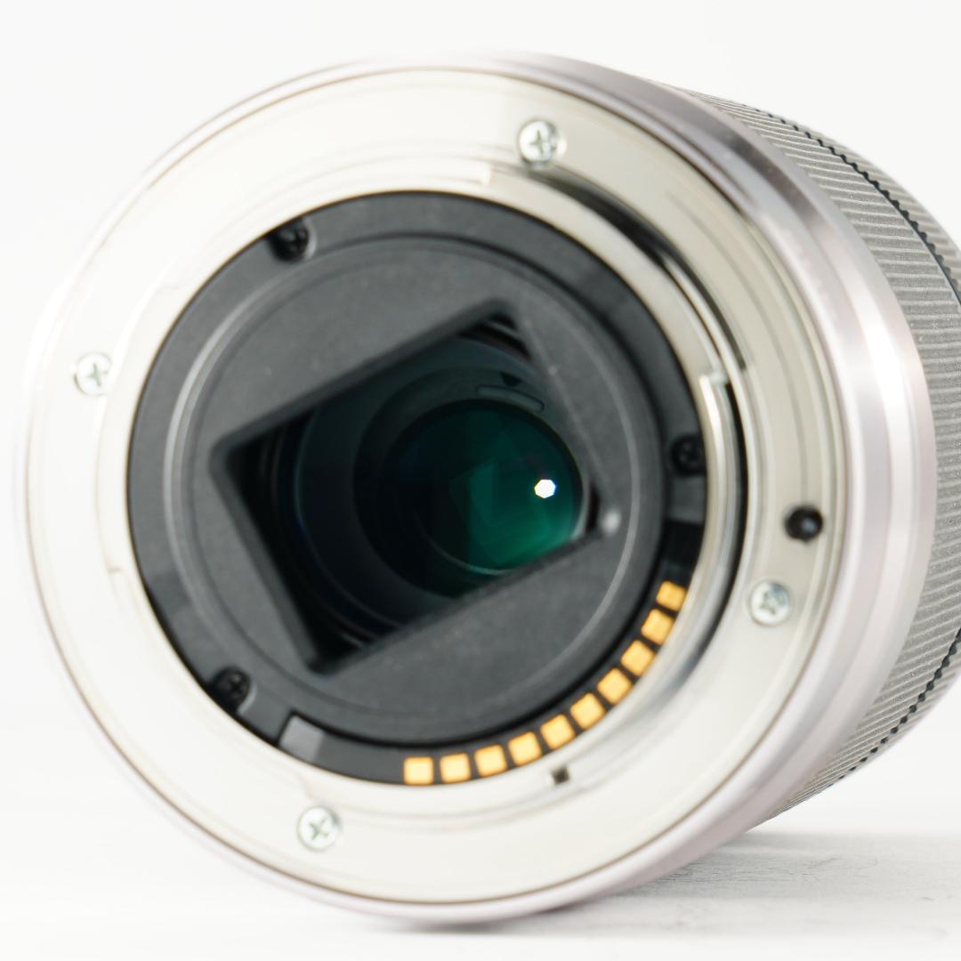 【運動会・スポーツに】SONY 望遠ズームレンズ SEL55210 418