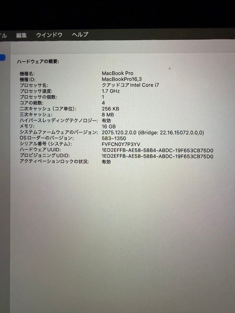 早*女様 MacBook Pro (Core i7, 16GB, 256GB)