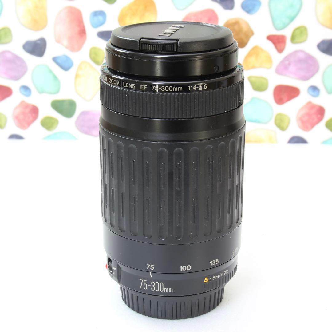 ♥︎◇Canon 75-300mm USM ◇純正望遠レンズ ◇遠くバッチリ♪