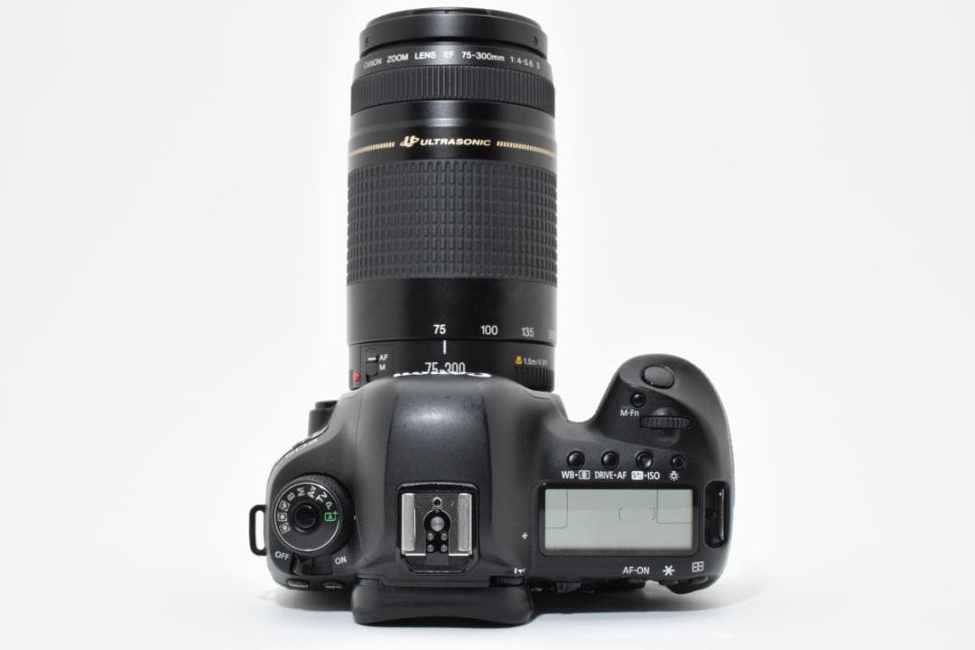 Canon EOS 5D Mark IV 望遠レンズセット