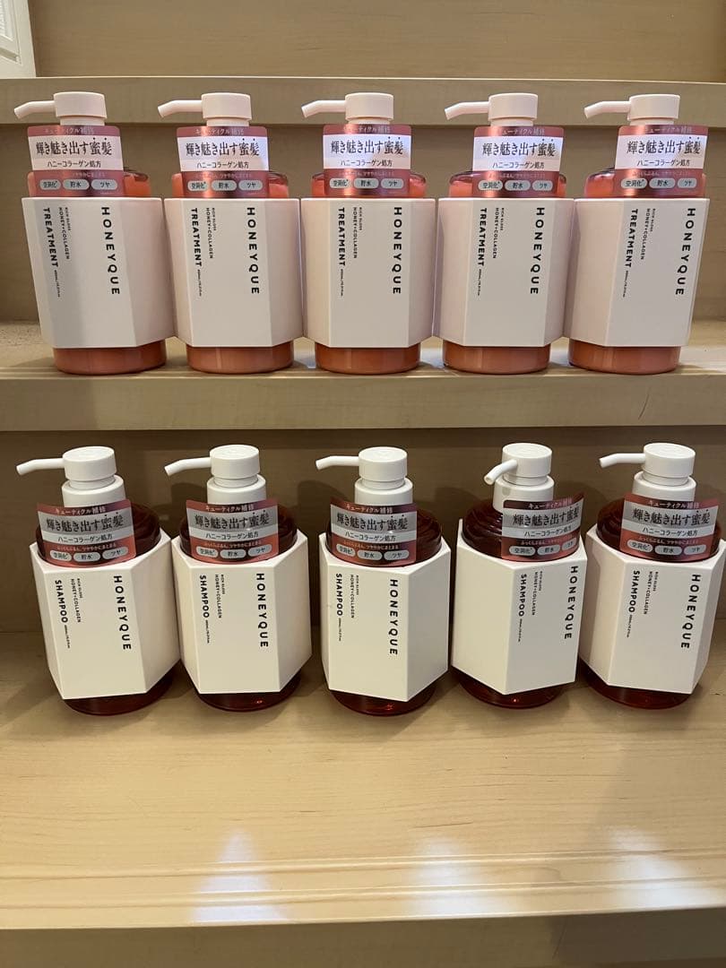 HONEYQUE ルージュ シャントリ10本セット