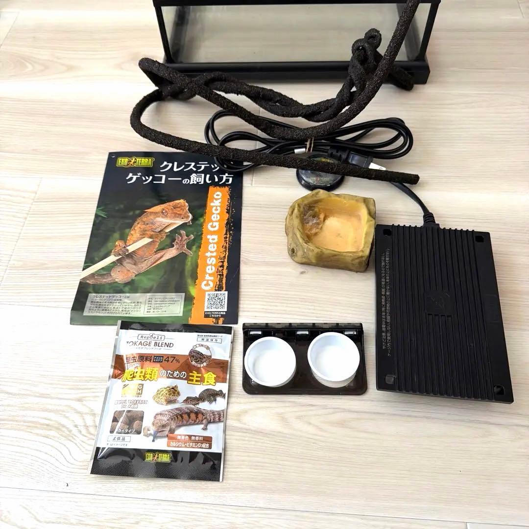 GEX EXOTERRA グラステラリウム3045 おまけ付き　美品