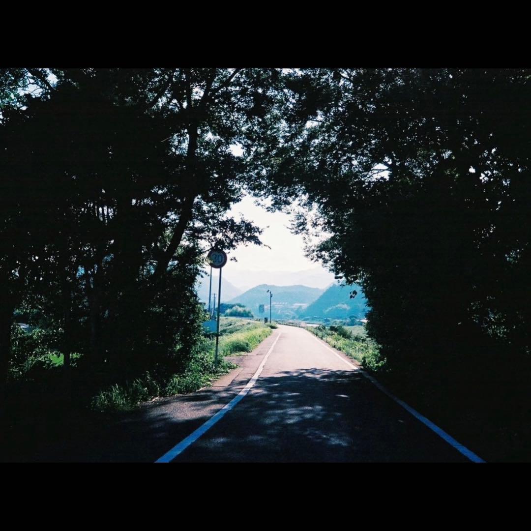 【作例あり】フィルムカメラMINOLTA CAPIOS 20