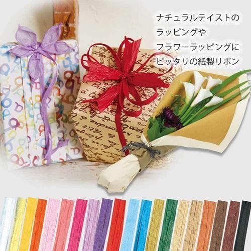 HEIKO ペーパーラフィア幅約5mm×50m 12色　19巻セット