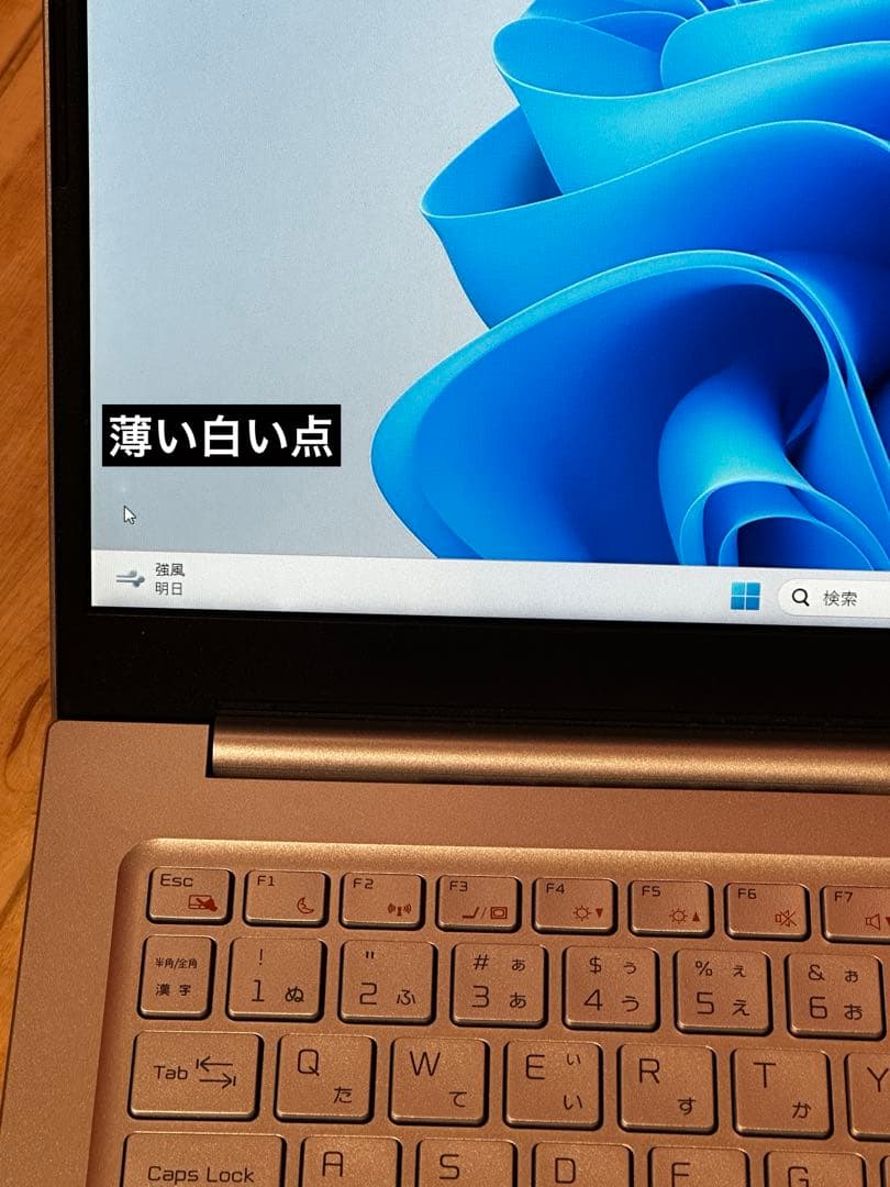 THIRDWAVE ノートPC DX/R5 16/1TB SSD [第13世代]