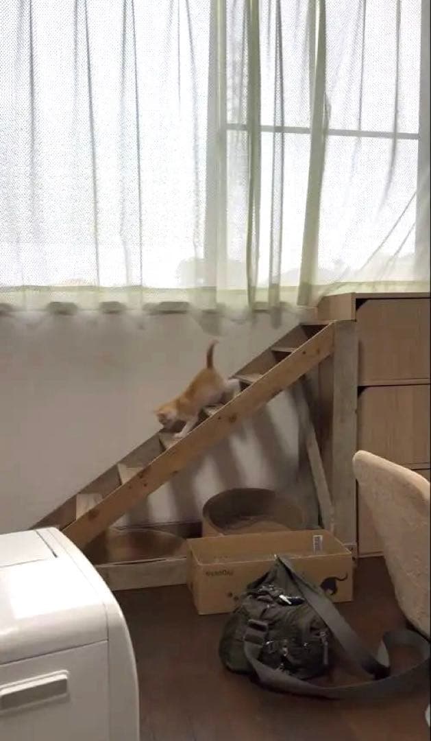猫ちゃんワンちゃんの木製階段（手作り）