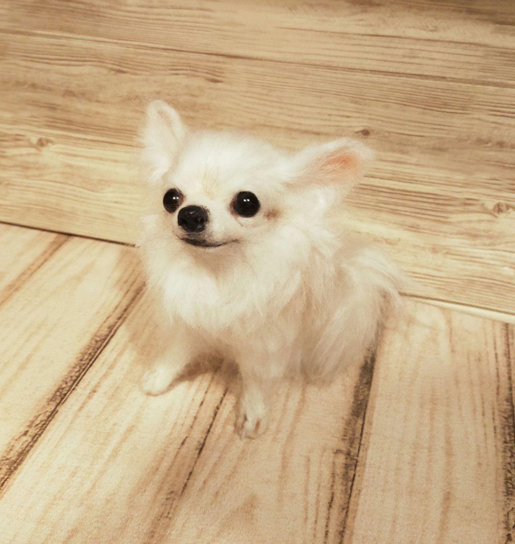 羊毛フェルト　ハンドメイド　犬　チワワ