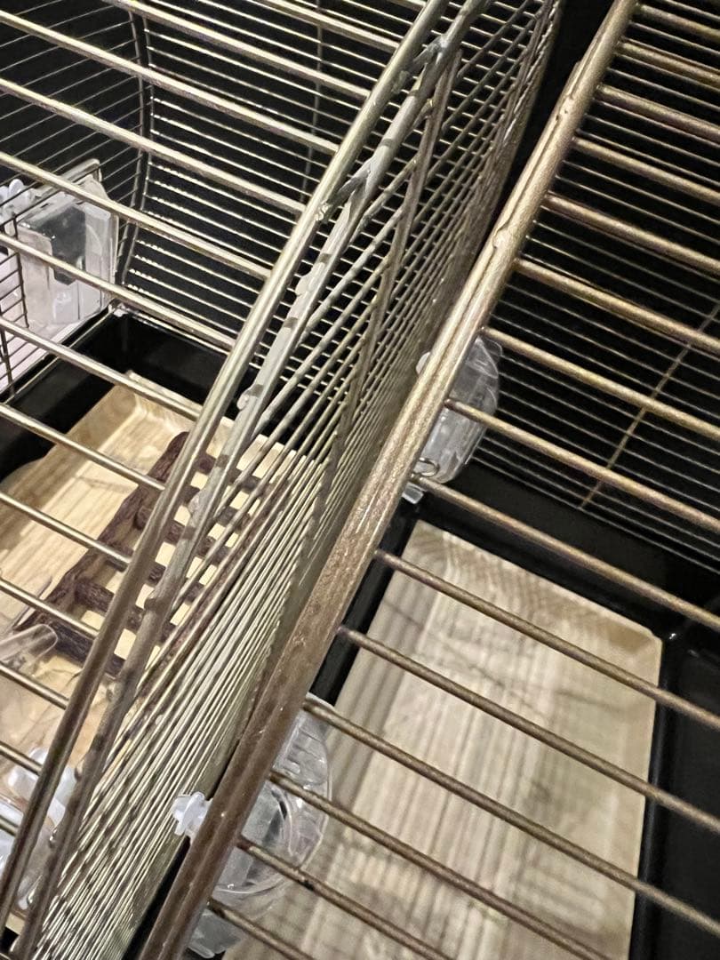 イタリアferplast社製　鳥かご　新旧2個セット　インコ　文鳥