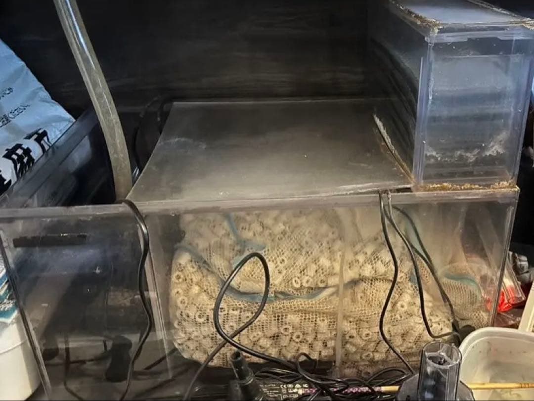 アクリル水槽1200