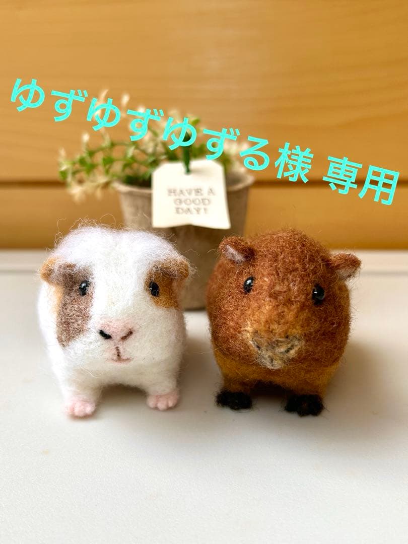 ゆずゆずゆずる♪モルモットちゃん 羊毛フェルト ハンドメイド