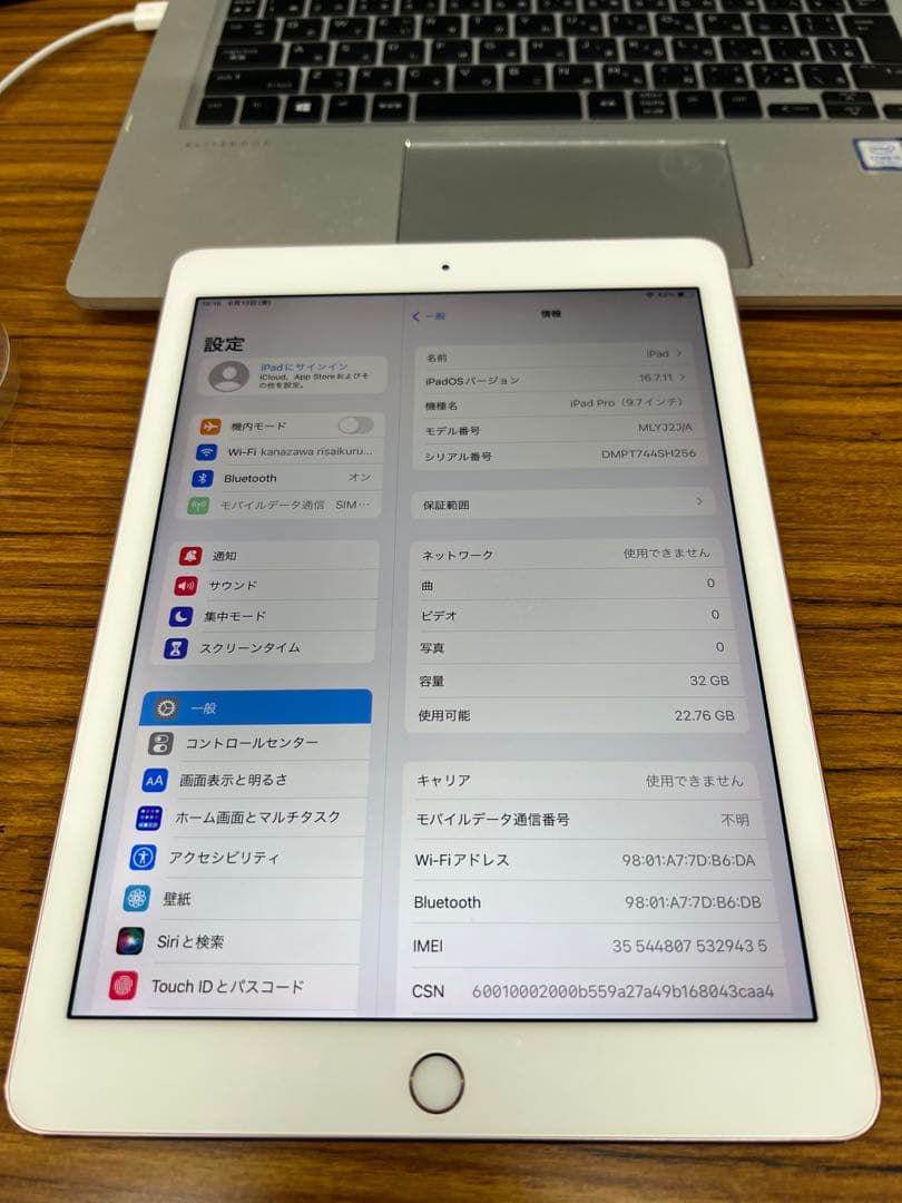 Apple iPad Pro9.7 32Gb Bypass バイパス品